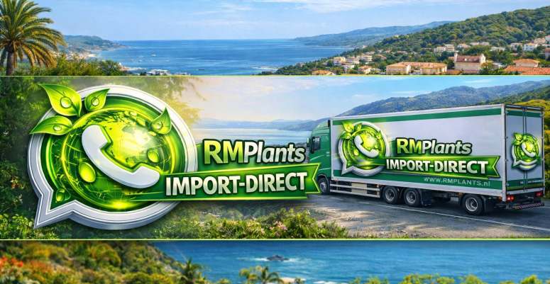 Import direct sfeerfoto