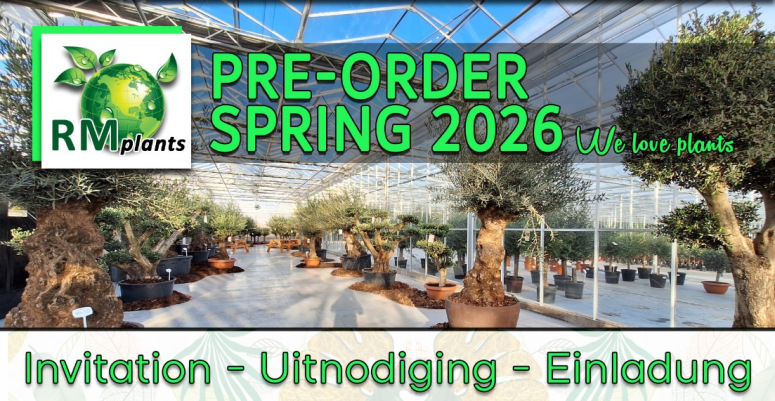 Pre-Order & Spring 2026