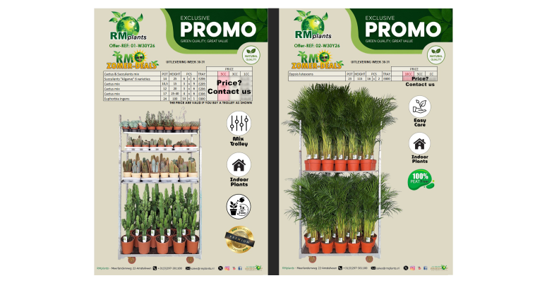 PROMO 30-31