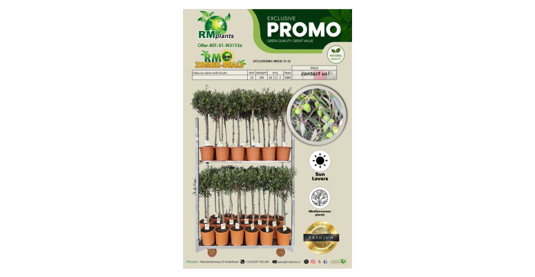 Promo w31-32