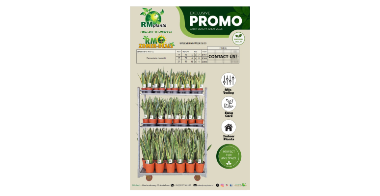 Promow32