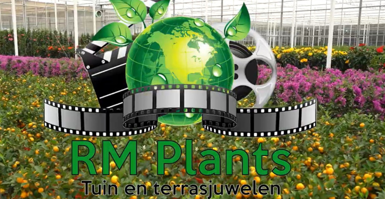 Tuin en Terras juwelen