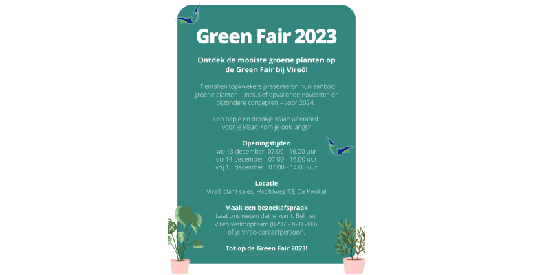 Vireo Green Fair