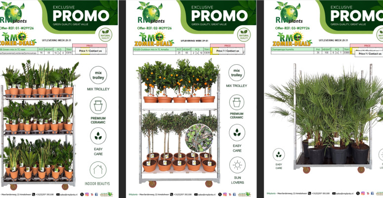 Zomerdeals week 29-31