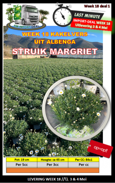 week 18 Margriet