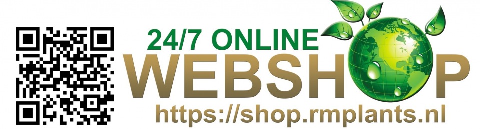 webshop2022jpg.jpg